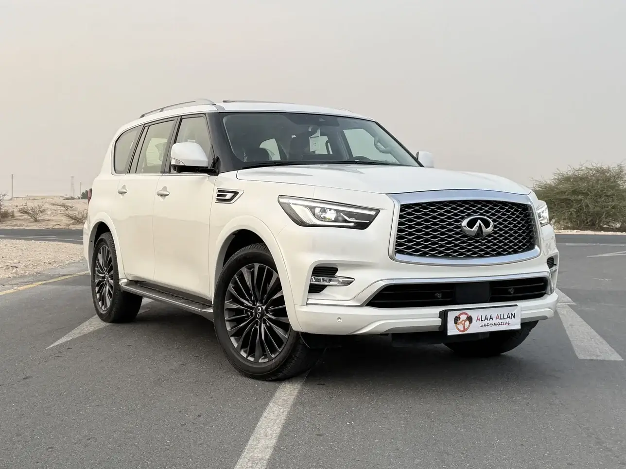 Infinity QX 80 2024