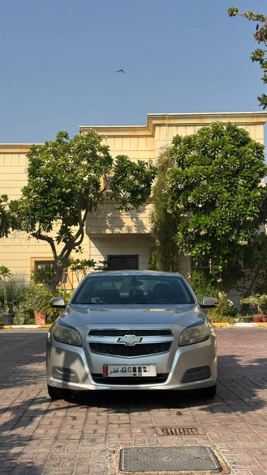 Chevrolet Malibu LS  2016