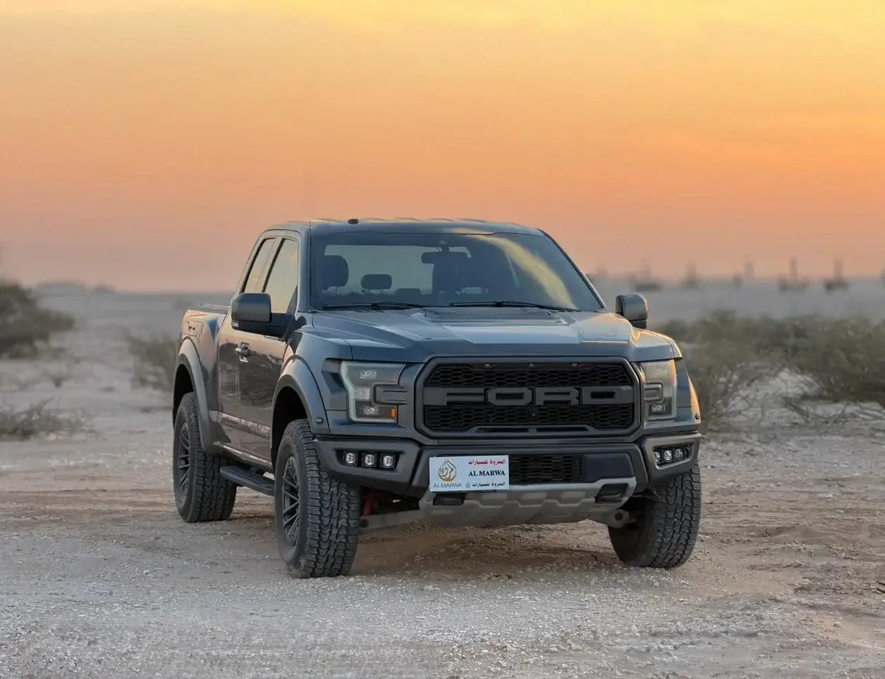 Ford RAPTOR 2019