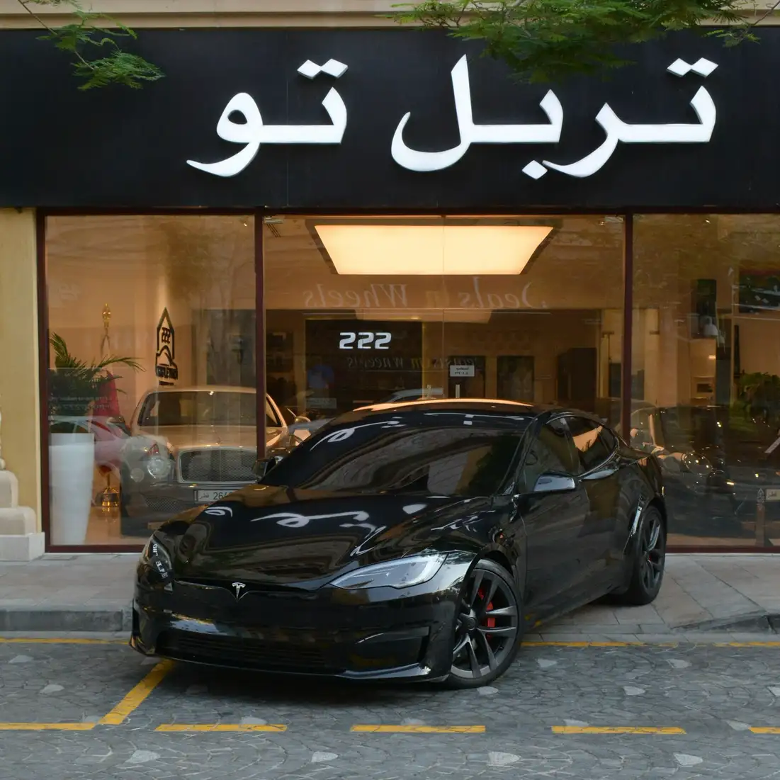 Tesla MODEL S 2023