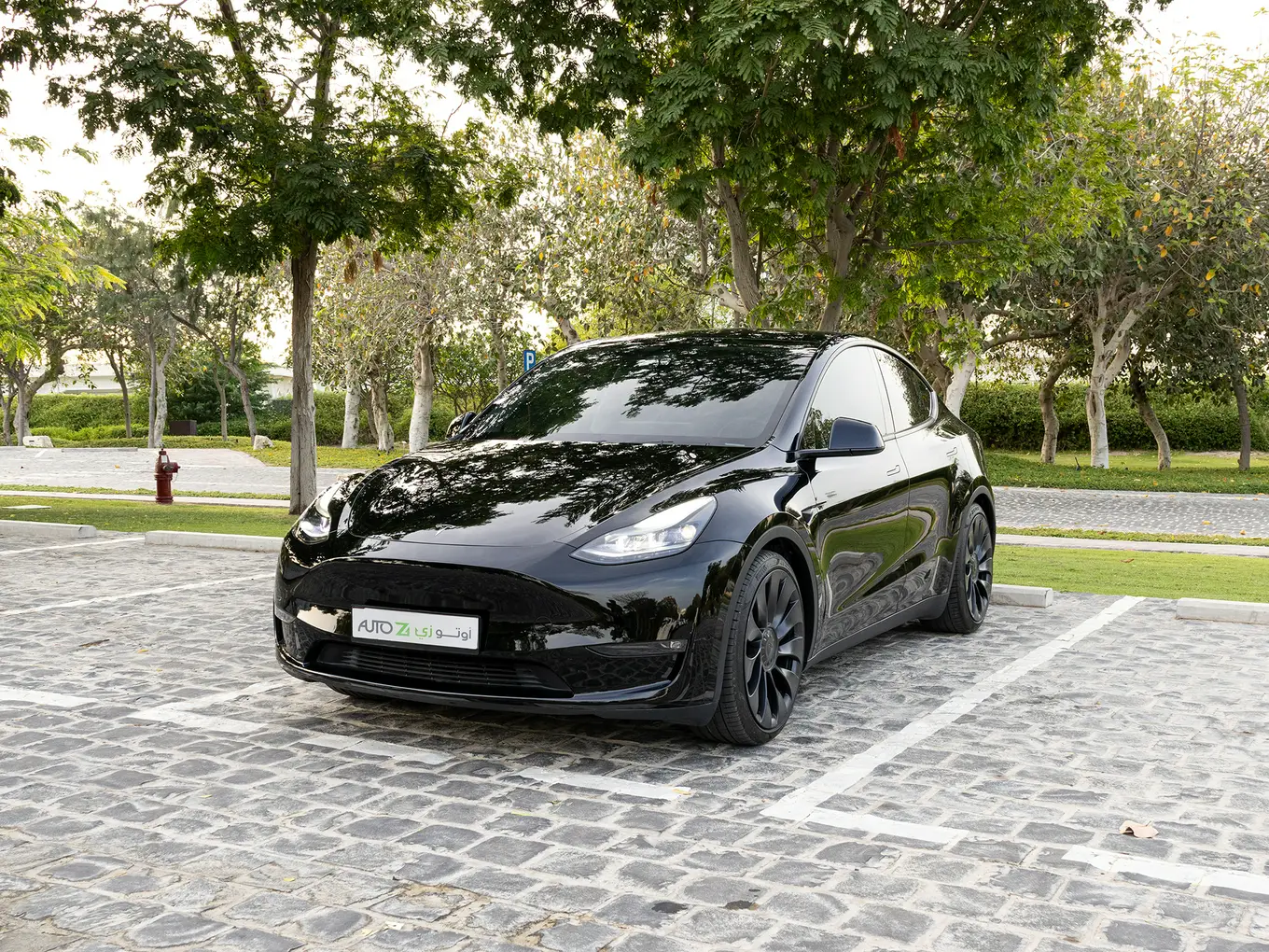 Tesla Model Y 2024