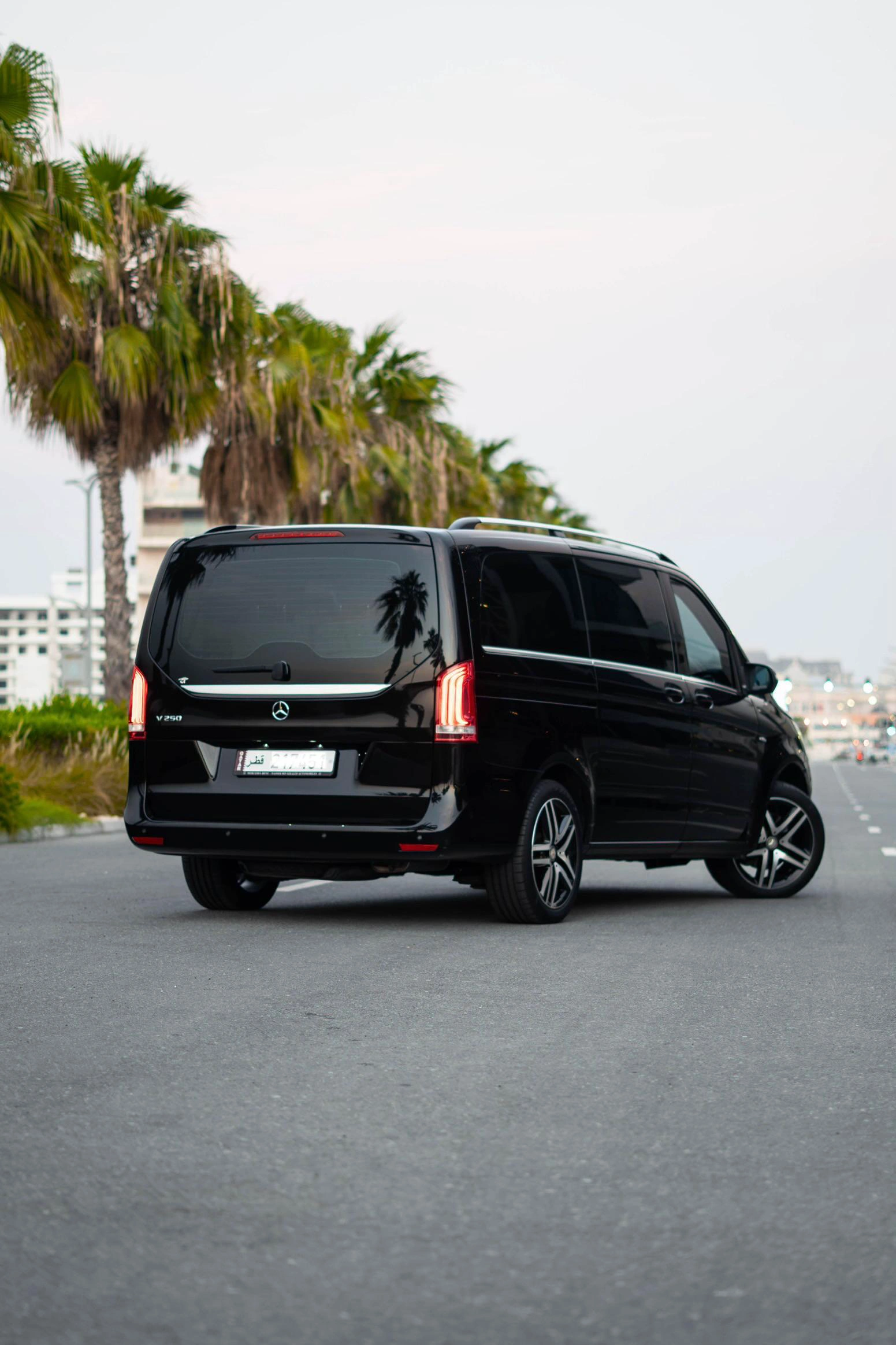 Mercedes Viano 2017