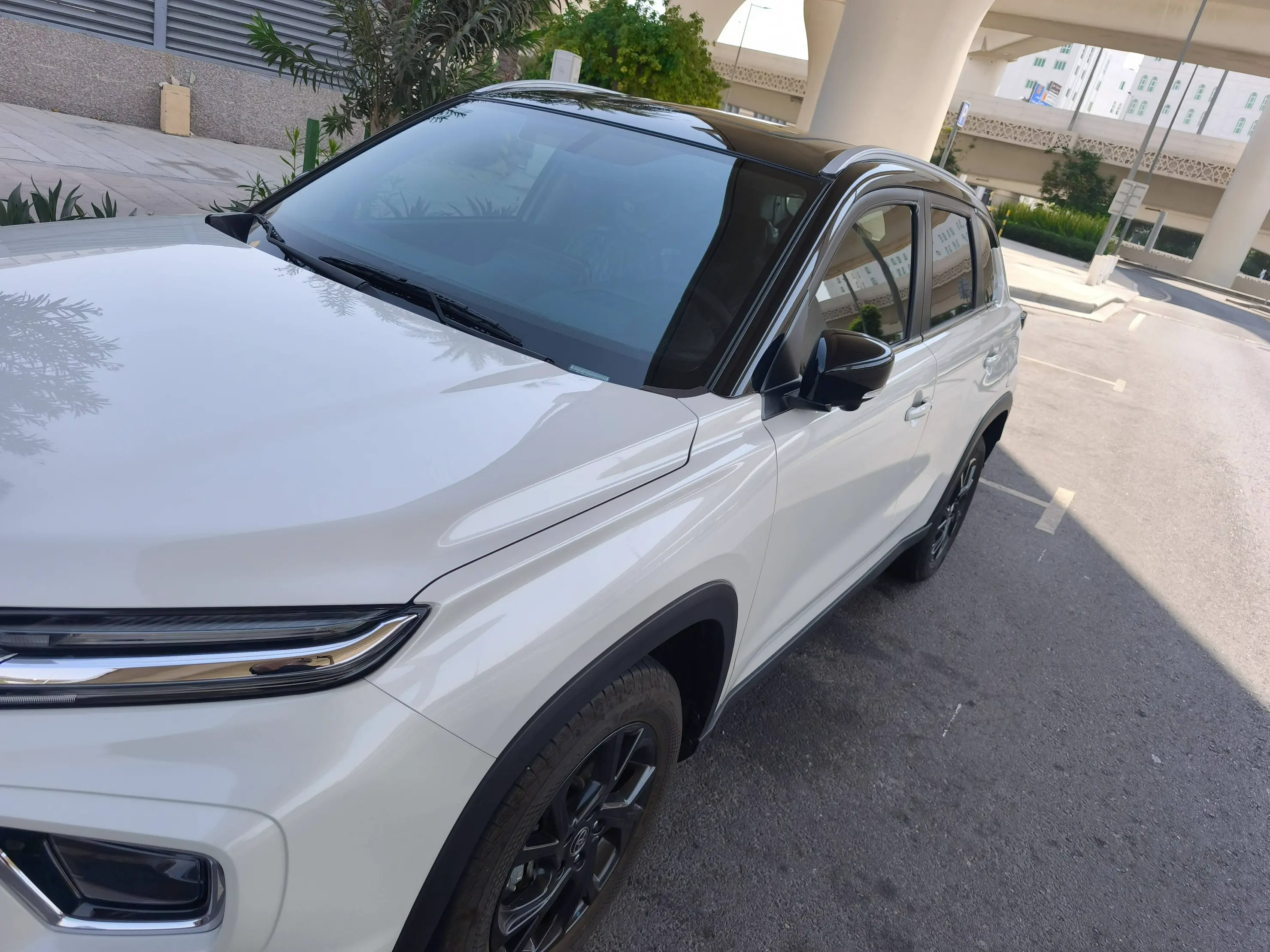 Toyota urban cruiser 2026