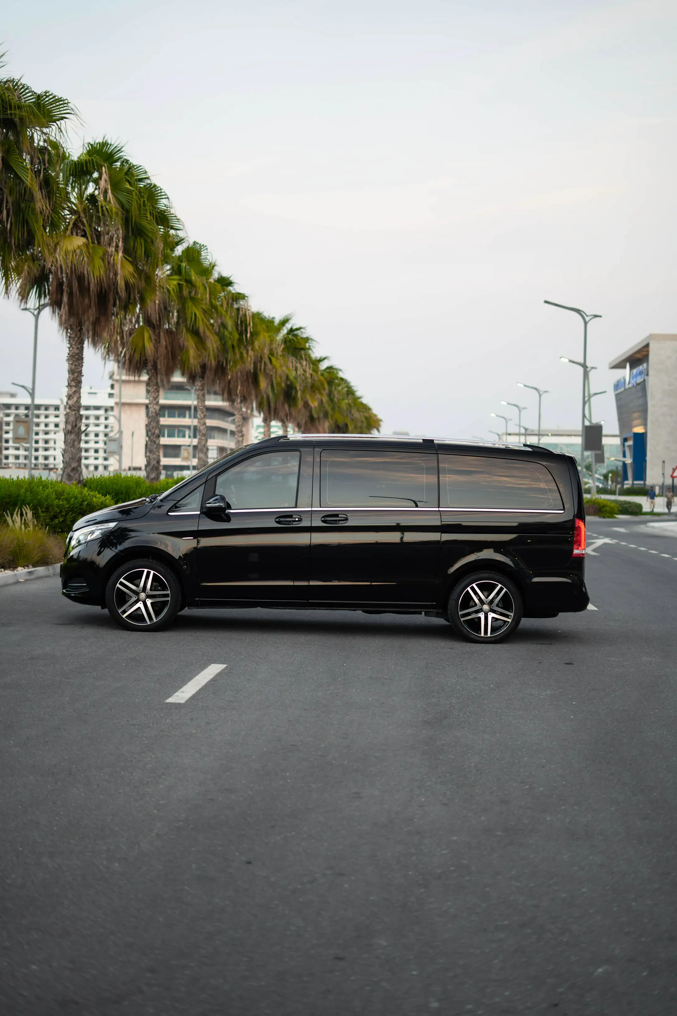 Mercedes Viano 2017