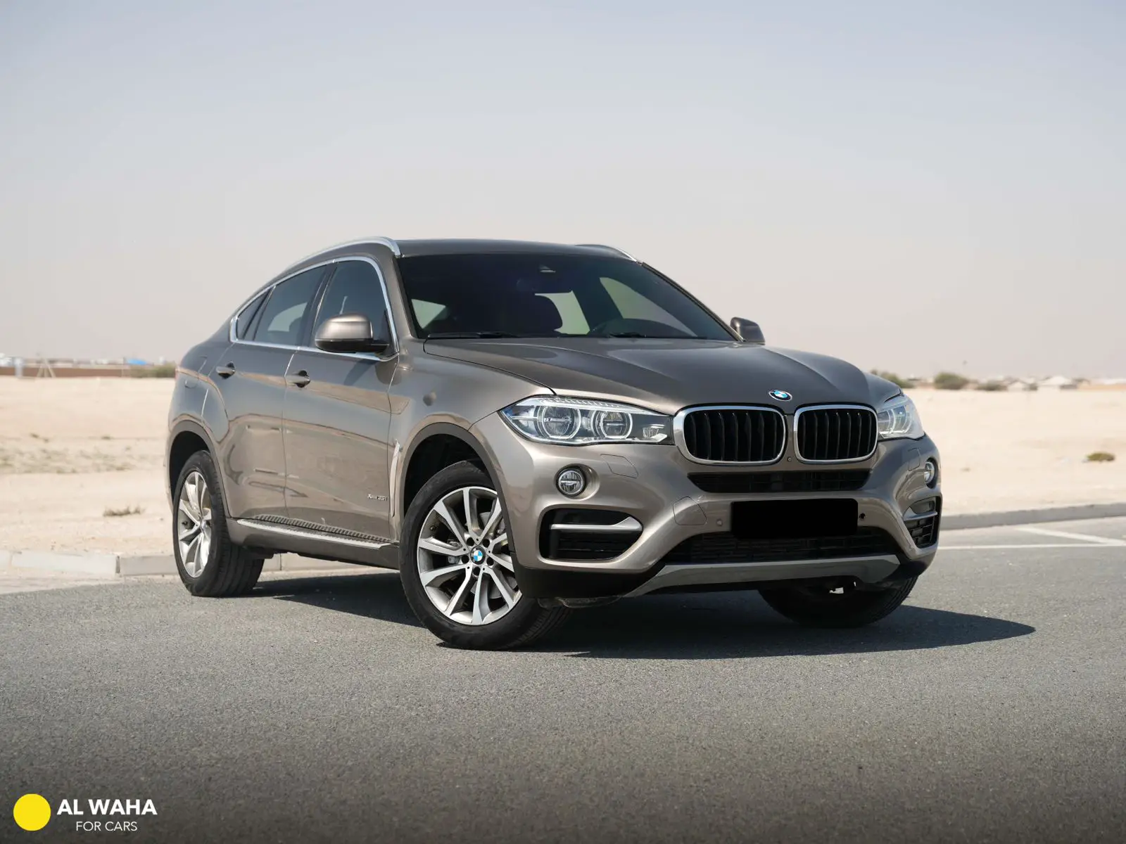 BMW X6 2017
