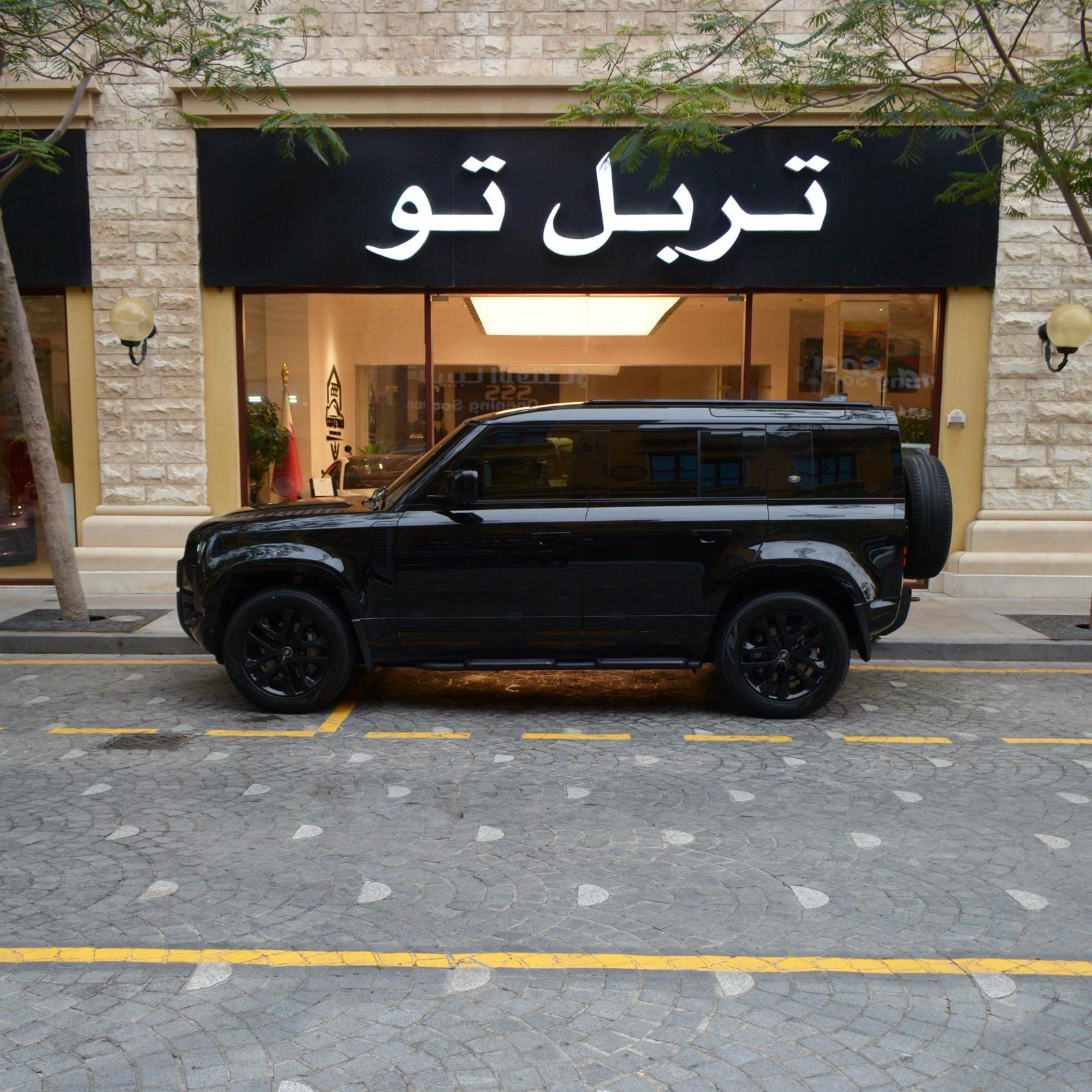 Landrover X-DYNAMIC SE 2023