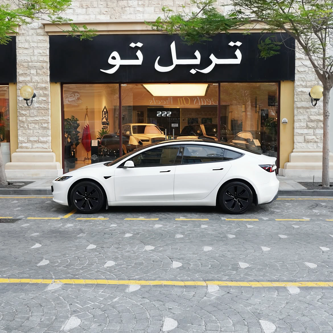 Tesla Model 3 2024