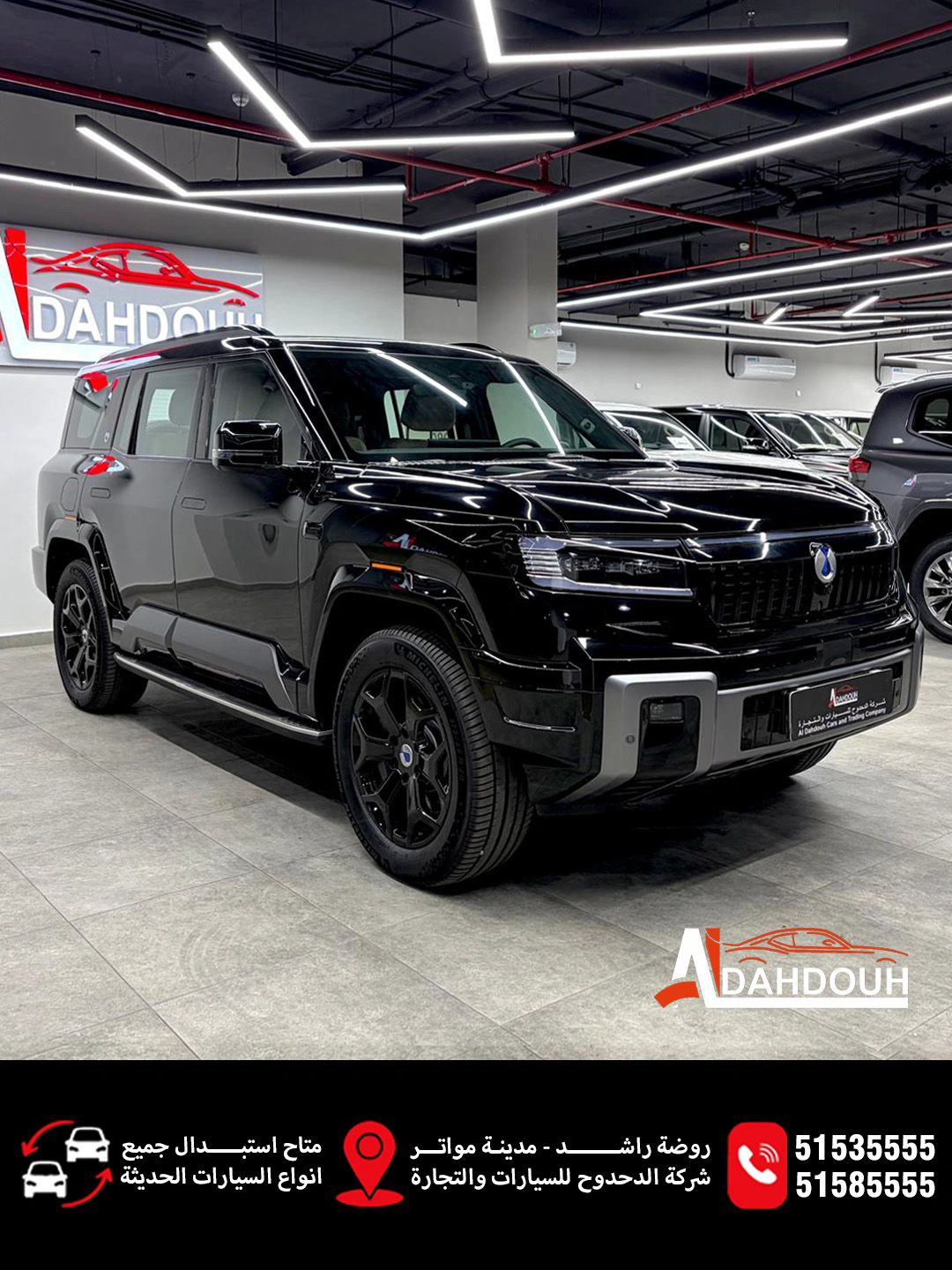 BYD DENZA B8 2026