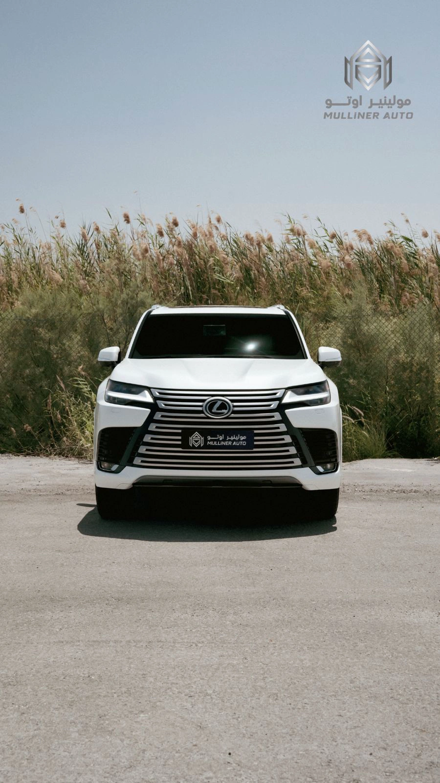 Lexus LX700H 2025