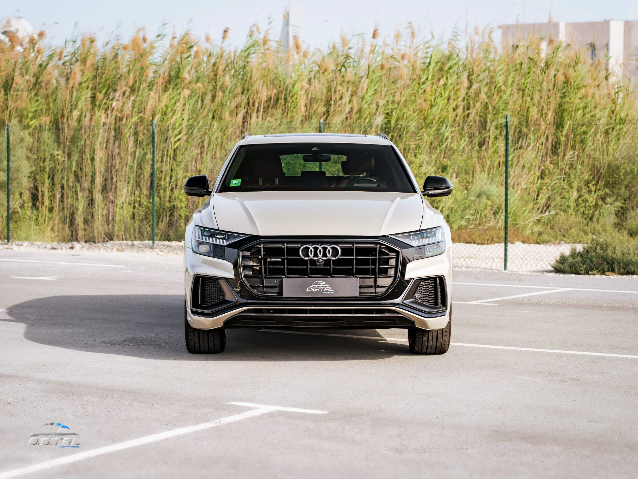 Audi SQ8 2022