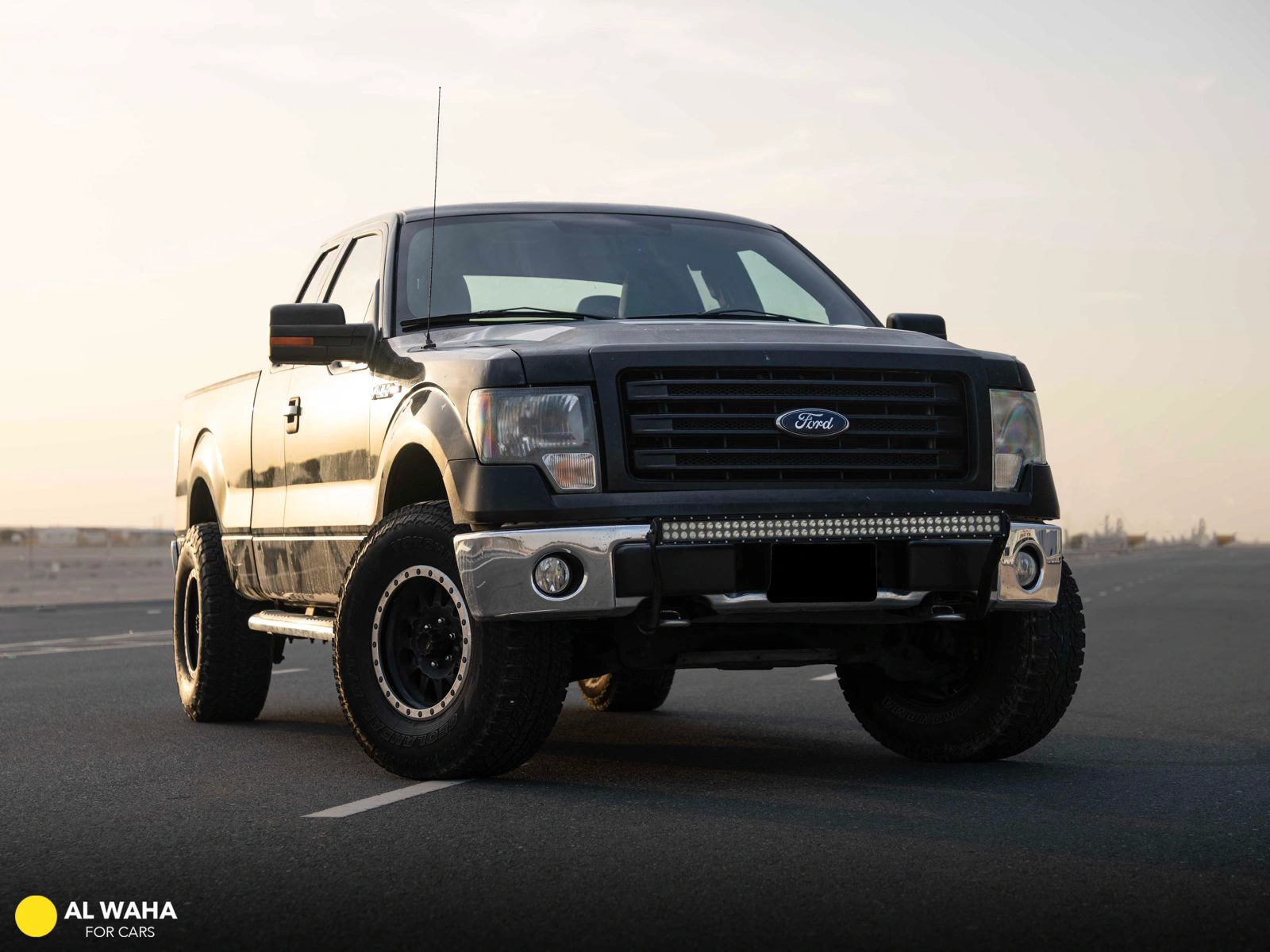 Ford F150 2013