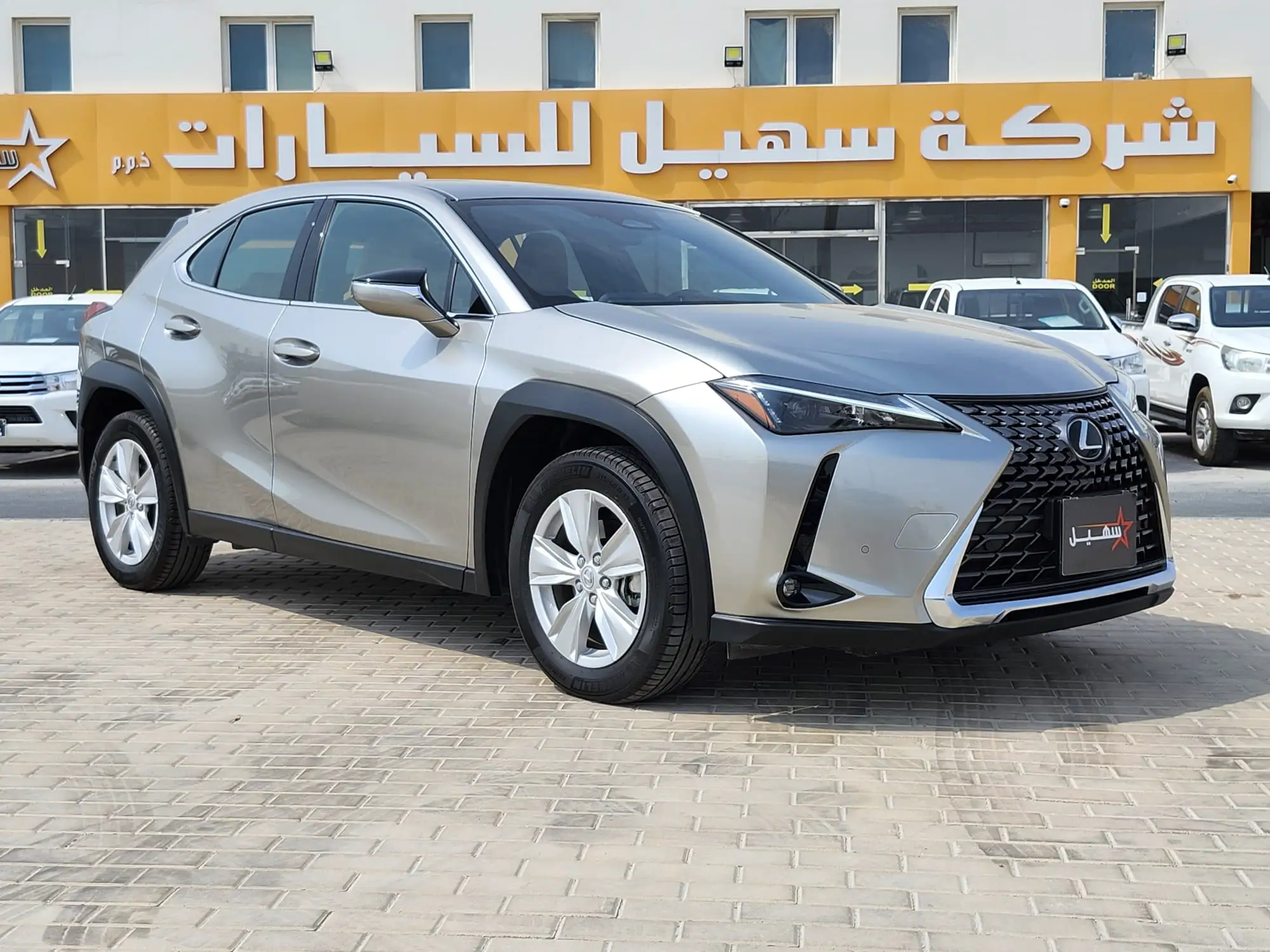 Lexus UX300H 2024
