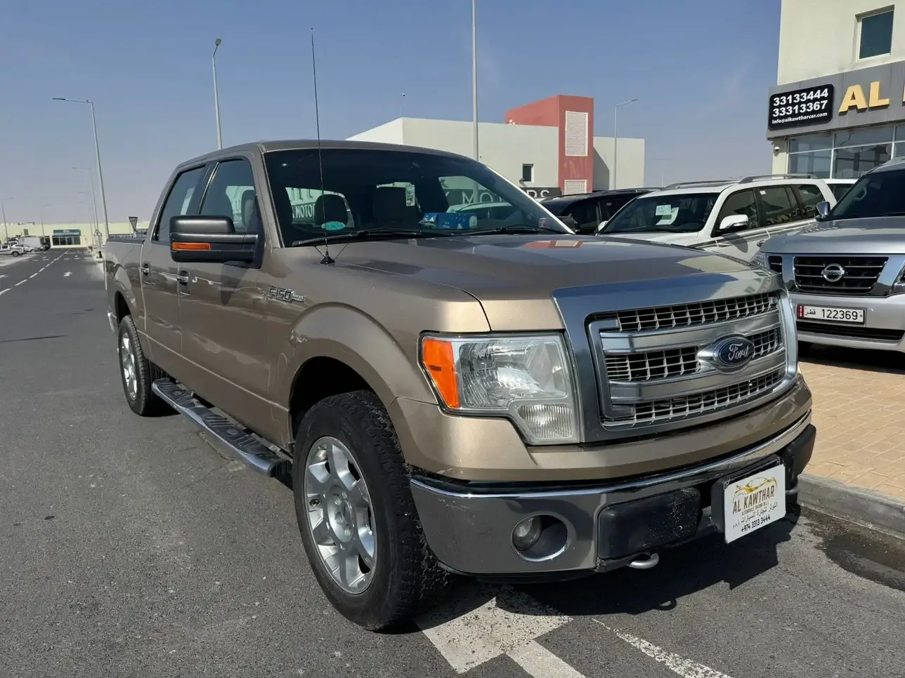 Ford F150 2013